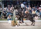Pferd International 086
